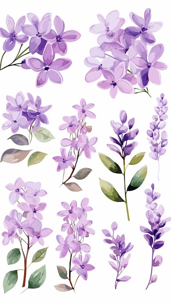 Set Delicate Lilac Watercolor Clipart