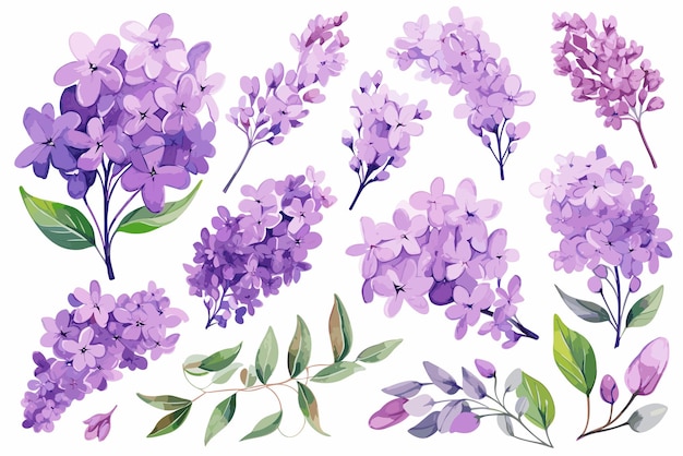 Set Delicate Lilac Watercolor Clipart