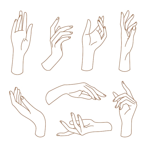 Set of delicate women's hand in linear style Female hands in various gestures