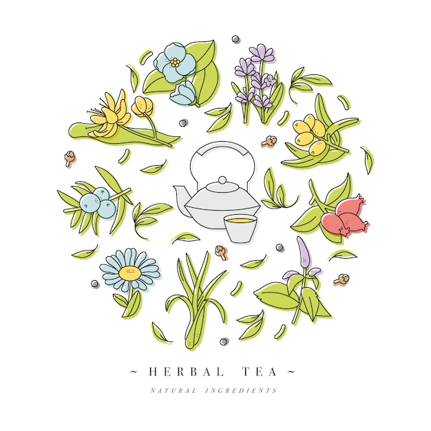 set design colorful templates logo and emblems - organic herbs and teas