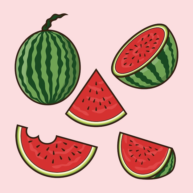 Set Different angles of watermelon fruit Cartoon Vector isolated