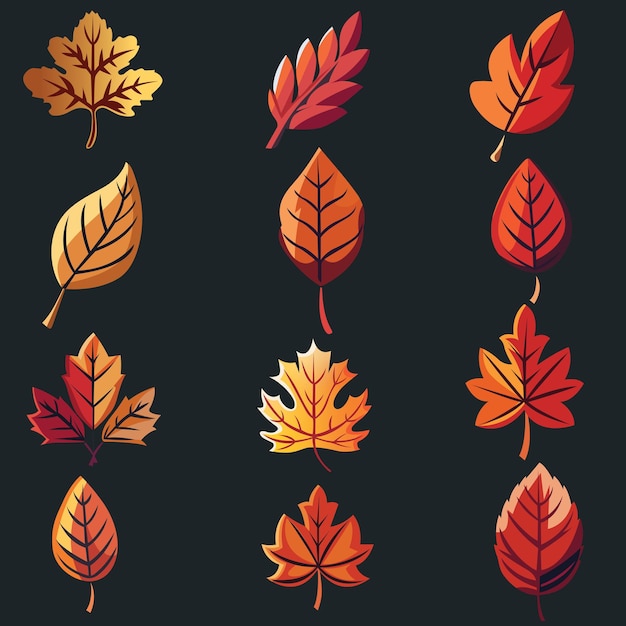 a set of different Autumn leaves collection on a Black background