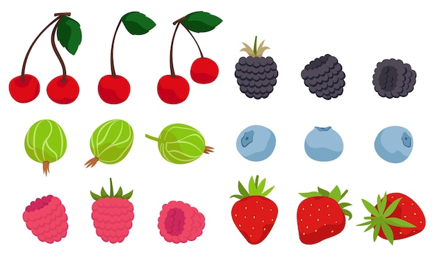 Set of different berries