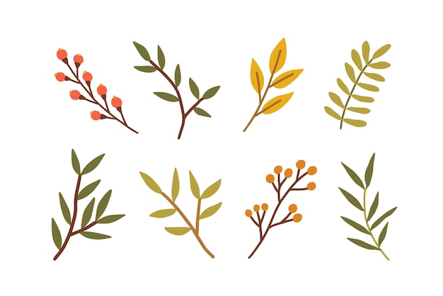 Set of different branches with leaves, red berries. Leaf of foliage plant. Collection of botanical design elements. Colored flat vector illustration of autumn herbarium isolated on white background.