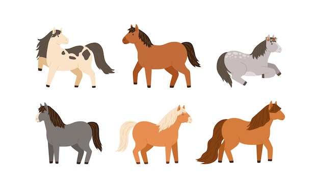 Set of different cute little horses. Collection of adorable childish pony. Flat vector cartoon illustration of beautiful domestic farm animals isolated on white background.