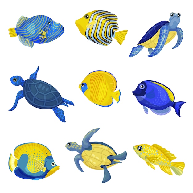 Set of different exotic fishes and turtles.  