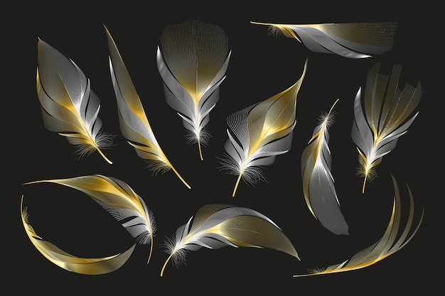 Set of different falling fluffy twirled feathers on a white background