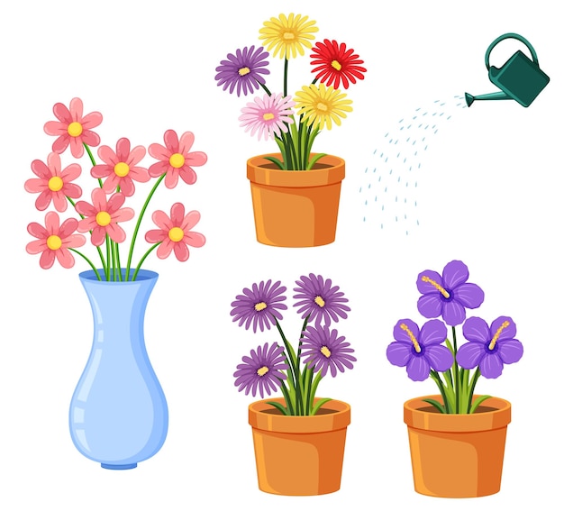 Set of different flowers in pots