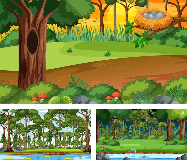 Set of different forest horizontal scenes