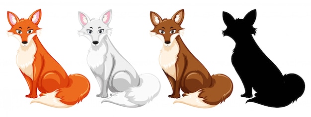 Set of different fox