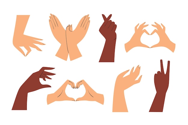 Set of different hands Heart bird love victory peace gestures Vector flat illustration