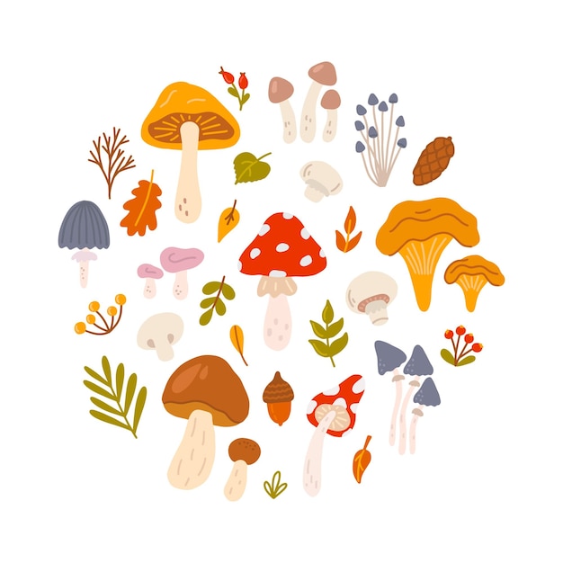 Set of different mushrooms with berries and leaves of trees in circle Vector flat illustration