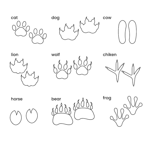 Set of different paws of animals in line style Vector illustration