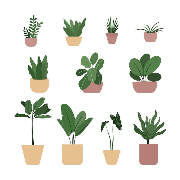 Set of different plants in pot