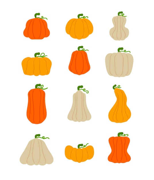 Set of different pumpkins Vector illustration Pumpkin isolated on white background Design element