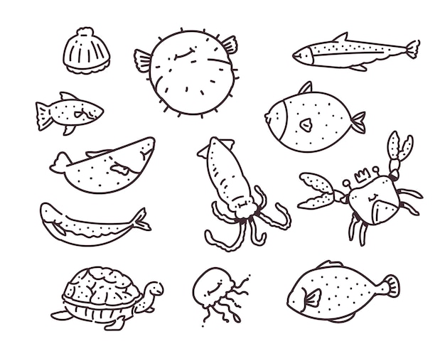 set of different sea fish . hand drawing . sea fish doodle  illustration