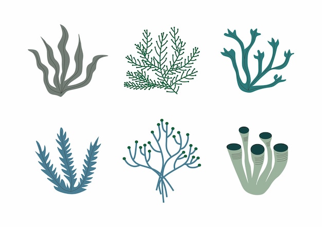 A set of different sea life icons