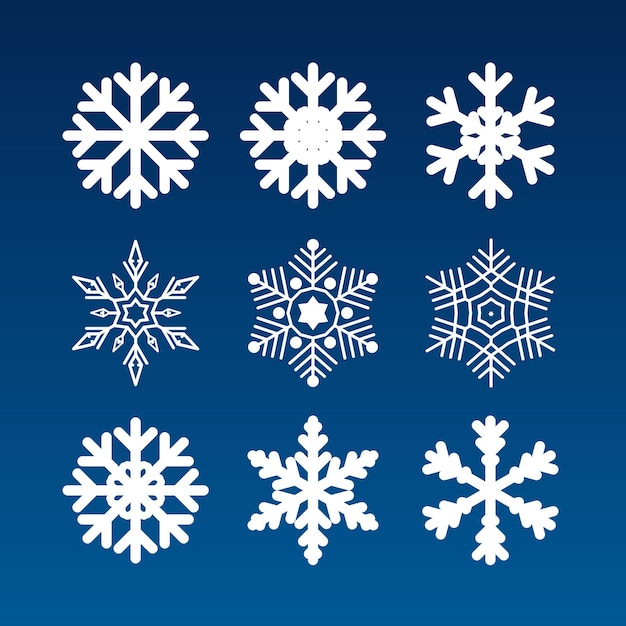 Set of different snowflakes on a blue background. Vector illustration.