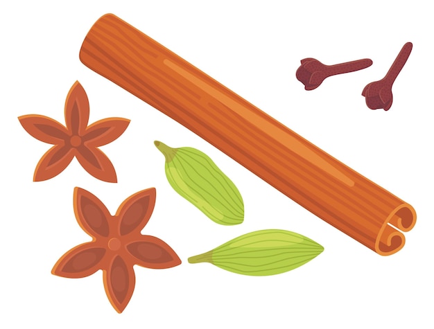 A set of different spices herbs and seasonings Cinnamon stick cloves star anise and cardamom