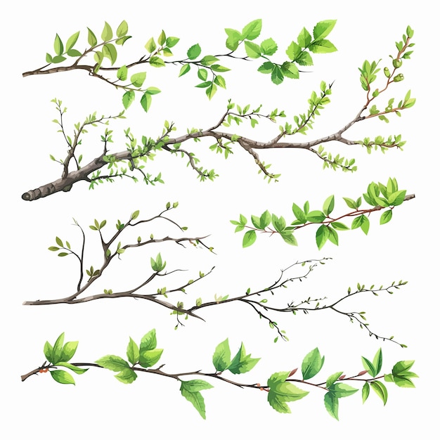 Vector set of different tree branches isolated clip art vector white background