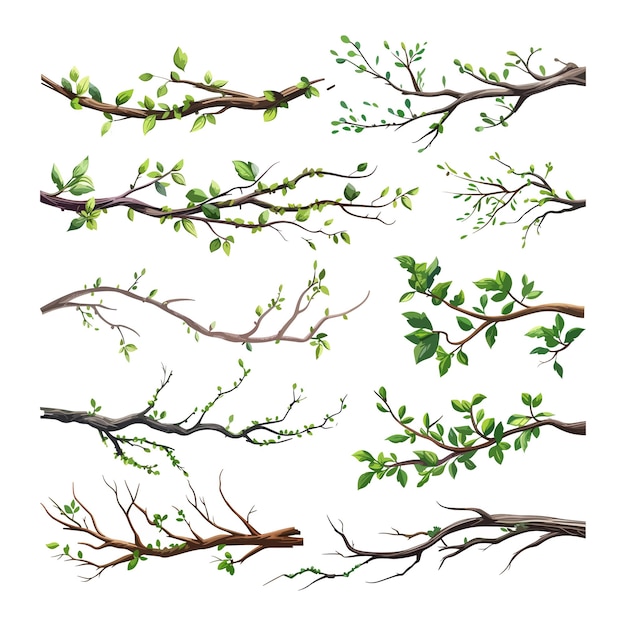 Vector set of different tree branches isolated clip art vector white background