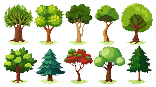 Vector a set of different trees with different seasons and the word tree