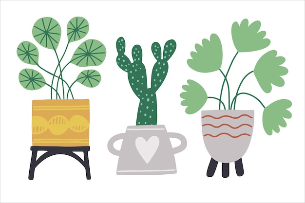 Set of different tropical house plant Scandinavian cozy home decor Flat vector illustration