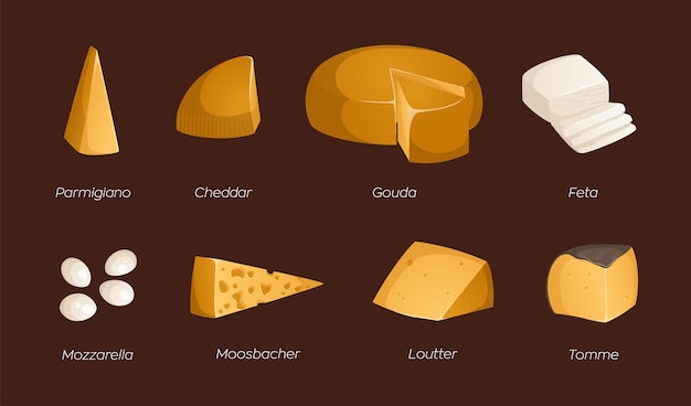 Vector set of different types of cheeses vector illustration with text ideal for posters and banner menu of