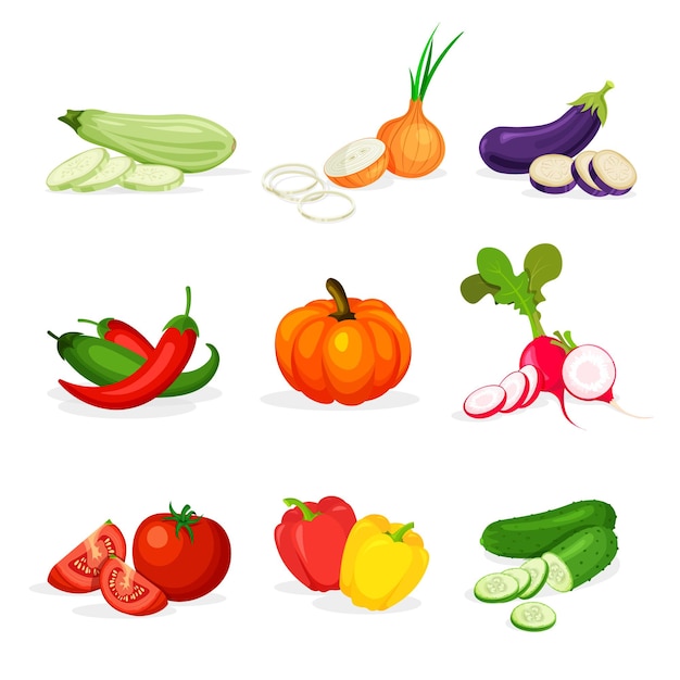 Set of different vegetables in in a trendy cartoon style.