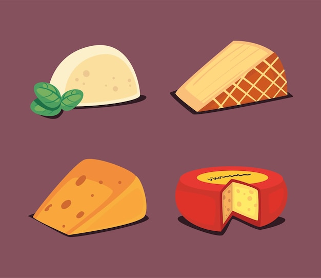 Set of differents types cheeses