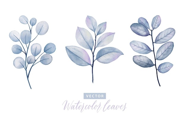 Set of digital watercolor painting branches with blue leaves 1