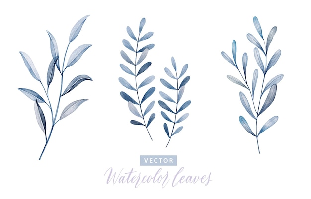 Set of digital watercolor painting branches with blue leaves 2