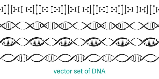 Set of dna icons background DNA icons collection