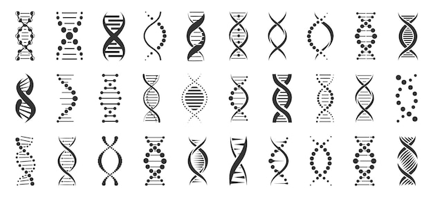 Vector set of dna icons dna icons collection