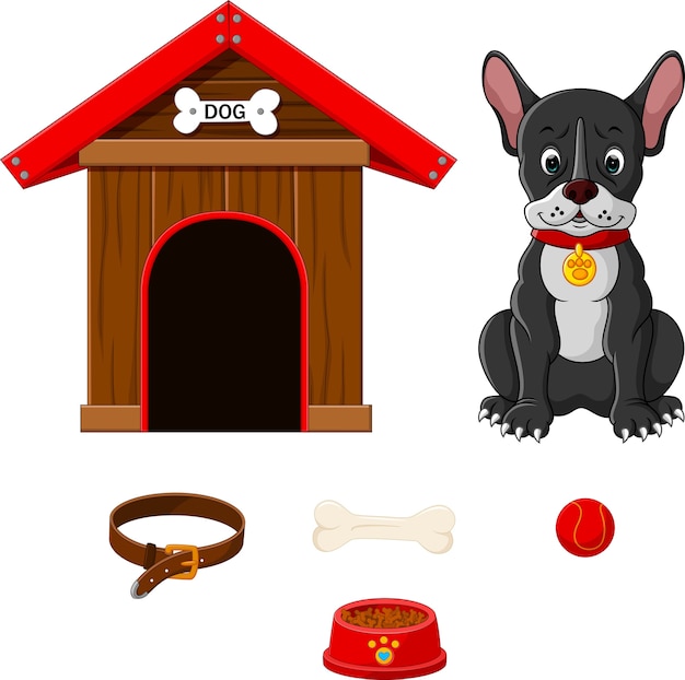 set of dog accessories