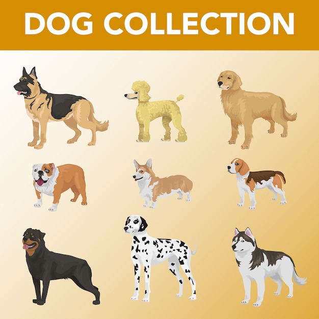 set of dog breeds collection