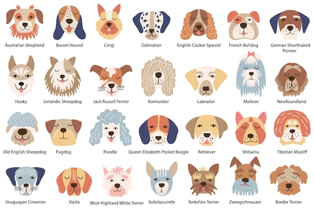 Set of dog faces of various breeds Vector illustration