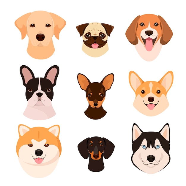 A set of dog heads on a white background Cartoon design