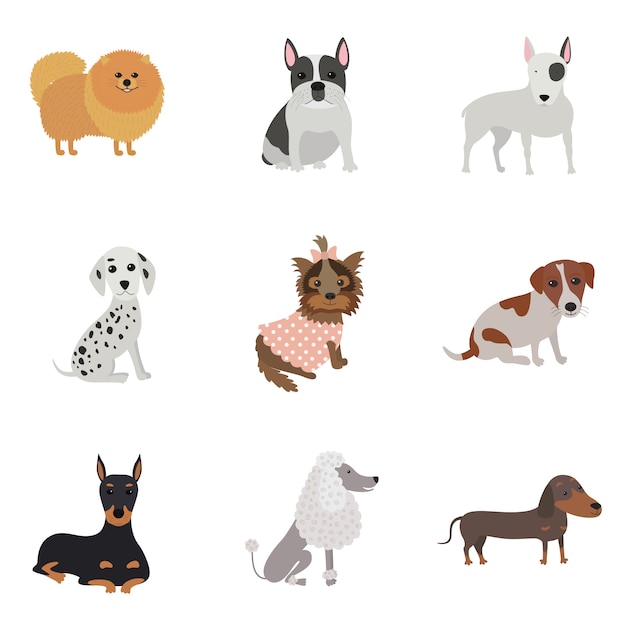 Set of dogs of different breeds 