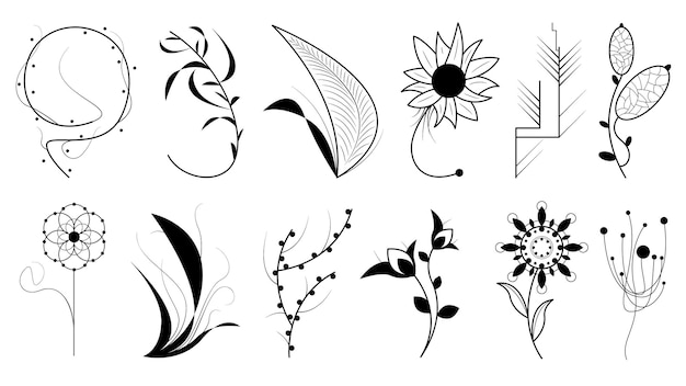 Set Doodle Elements Hand Drawn Collection Botanic Herbal Flora Leaf Branch Vine Flower Plants