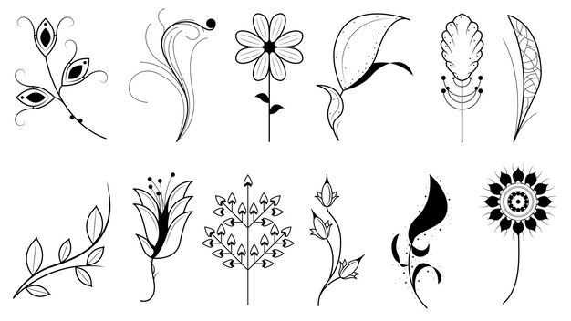 Set Doodle Elements Hand Drawn Collection Botanic Herbal Flora Leaf Branch Vine Flower Plants