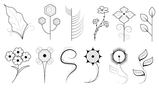 Set Doodle Elements Hand Drawn Collection Botanic Herbal Flora Leaf Branch Vine Flower Plants