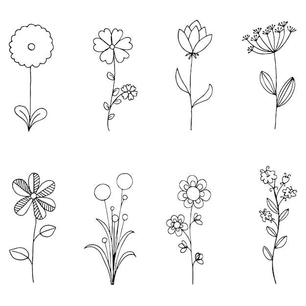 Set of doodle flora, Wild and Nature flowers 