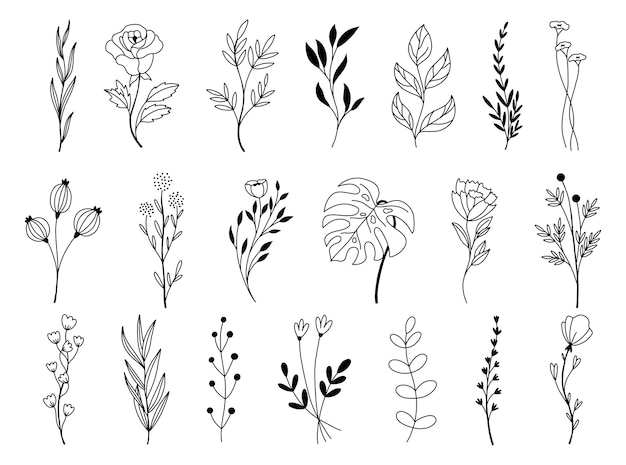 Set of doodle hand drawn floral elements