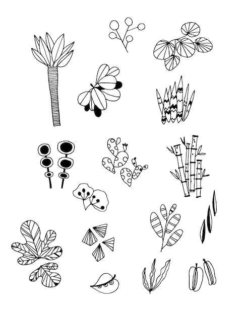 Set of Doodle Leaves hand draw vector