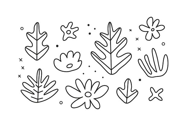 Set of doodle outline tropical leaves and flowers