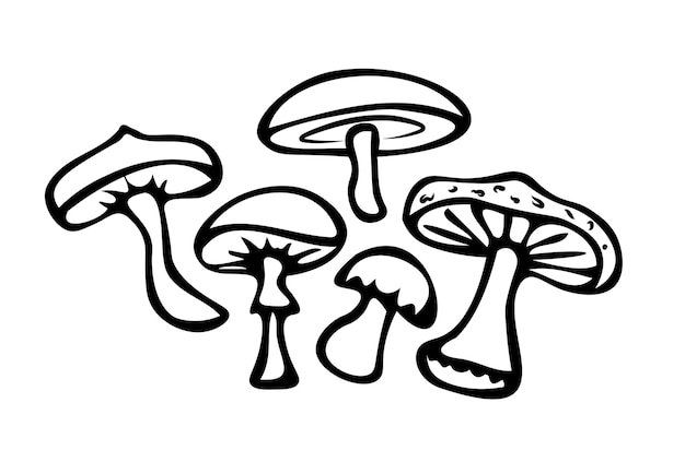 Set of doodles of forest mushrooms Symbol for edible and poisonous mushrooms Black mushrooms