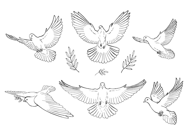 Set of dove outline Line art style isolated Hand drawn vector illustration