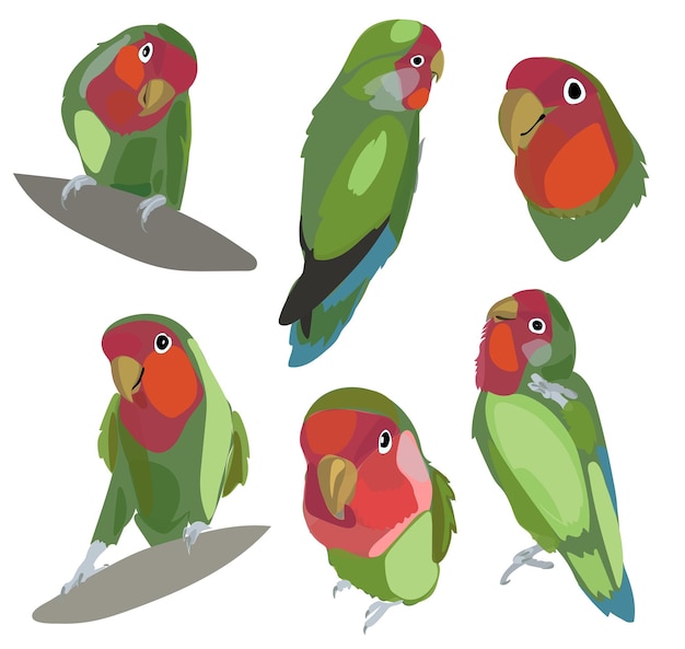 Vector a set of drawings of a green parrot