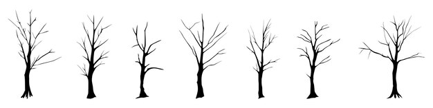 Vector set of drawn trees without leaves drawing on white background design